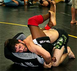Mixed Martial Arts Coach