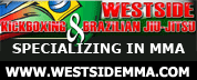 KICKBOXINGANDBJJ.COM 